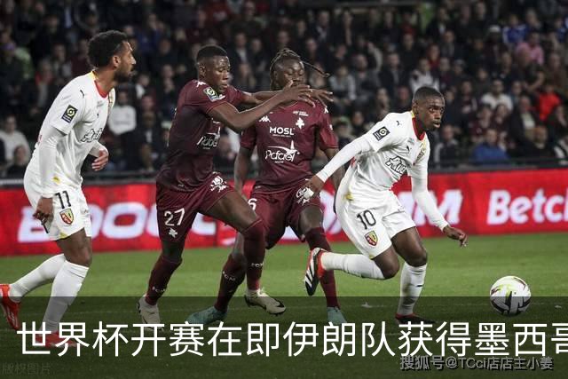 世界杯开赛在即伊朗队获得墨西哥签证 计划启程前往驻地